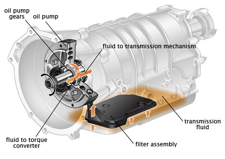 Is It Time To Change Your Transmission Fluids?! - Foreign Car 