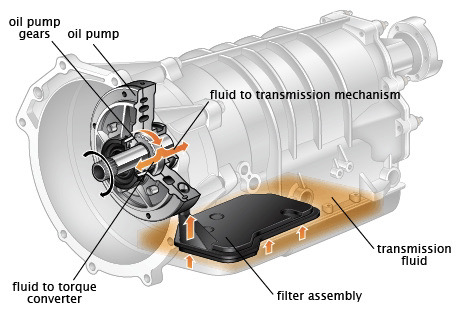 What transmission fluid do you use (and how often do you replace it)?