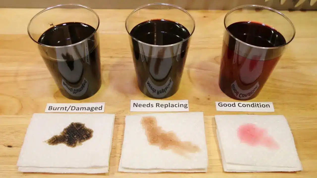 Three cups contain different engine oils. Each cup stands over a paper towel showing an oil stain. From left to right: Burnt/Damaged (dark stain), Needs Replacing (brown stain), and Good Condition (light pink stain).